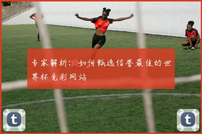 专家解析:如何甄选信誉最佳的世界杯竞彩网站