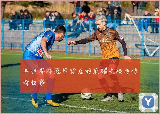 年世界杯冠军背后的荣耀之路与传奇故事