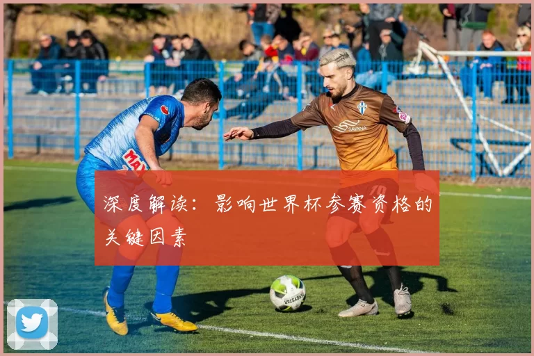 深度解读:影响世界杯参赛资格的关键因素