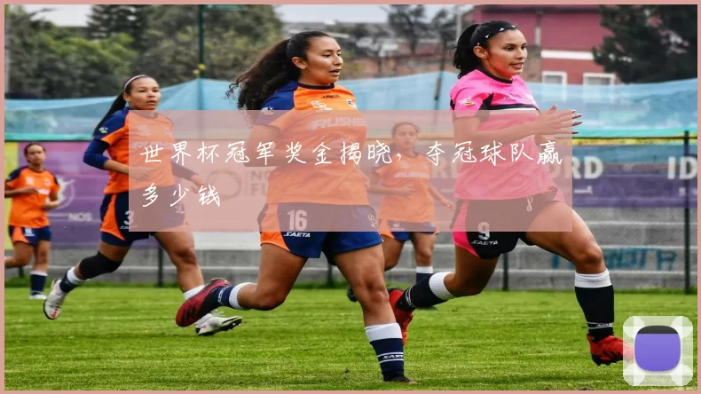 世界杯冠军奖金揭晓，夺冠球队赢多少钱