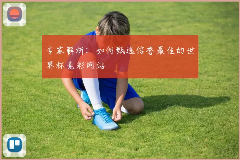 专家解析：如何甄选信誉最佳的世界杯竞彩网站