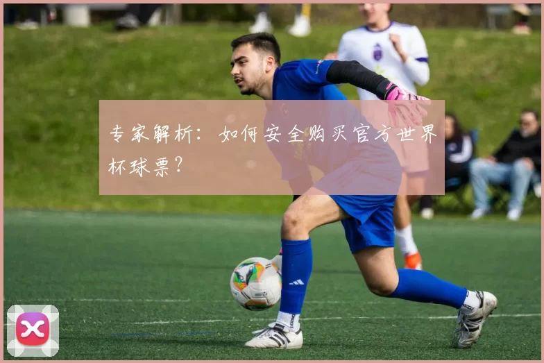 专家解析:如何安全购买官方世界杯球票?
