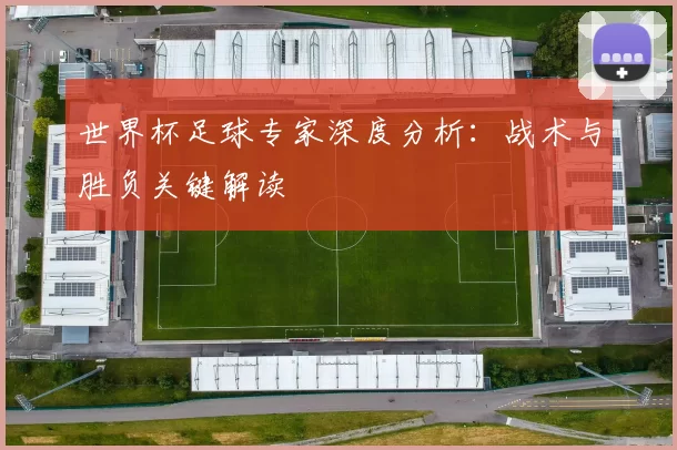 世界杯足球专家深度分析：战术与胜负关键解读