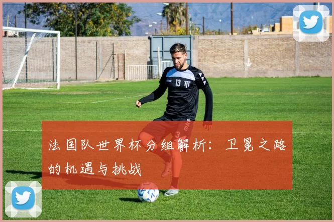 法国队世界杯分组解析：卫冕之路的机遇与挑战