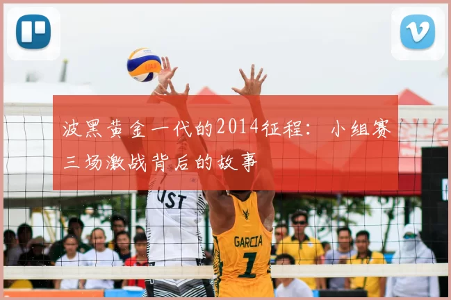 波黑黄金一代的2014征程：小组赛三场激战背后的故事