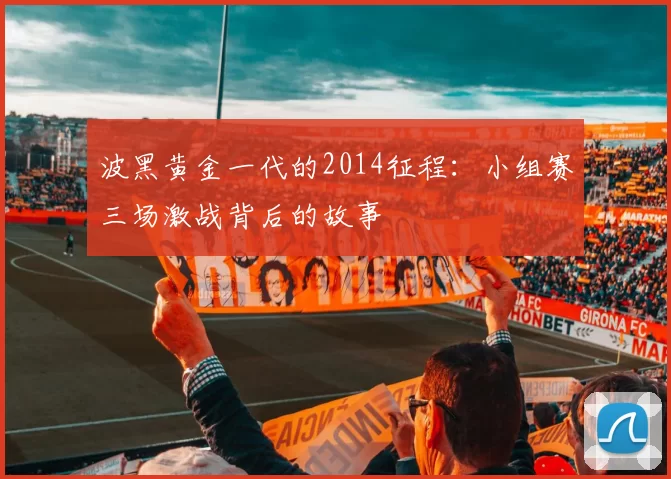 波黑黄金一代的2014征程：小组赛三场激战背后的故事