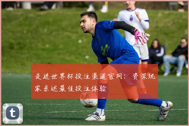 走进世界杯投注渠道官网:资深玩家亲述最佳投注体验