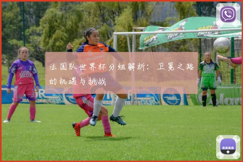 法国队世界杯分组解析:卫冕之路的机遇与挑战