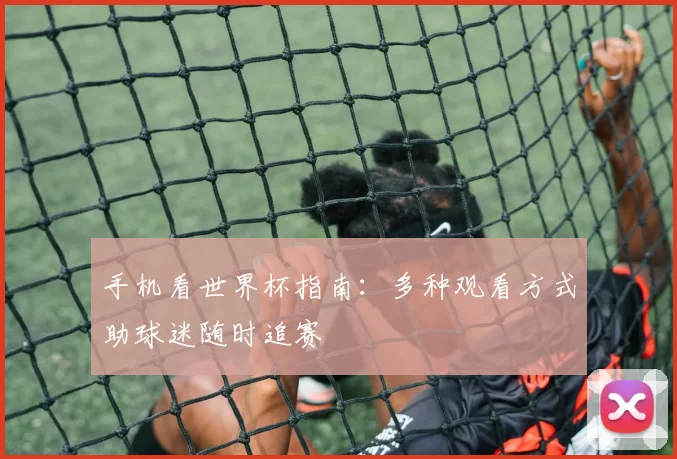 手机看世界杯指南：多种观看方式助球迷随时追赛