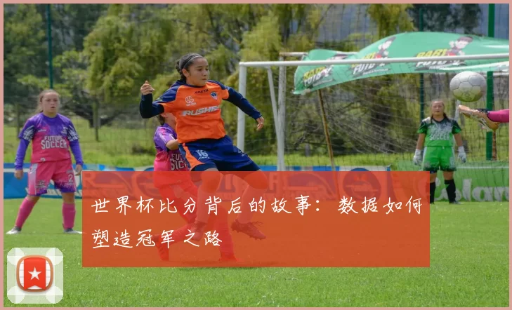 世界杯比分背后的故事:数据如何塑造冠军之路
